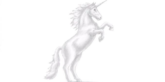 Cum să atragă un unicorn Prancing realist