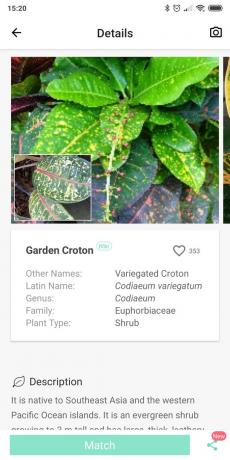 Identificarea tipurilor de plante de interior folosind PictureThis
