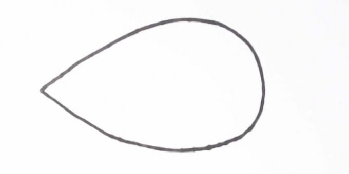 Cum să desenezi un mouse: descrie trunchiul 