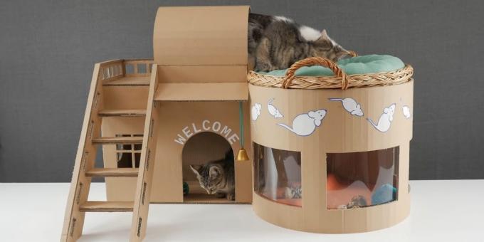 Cum sa faci o casă cu două etaje pentru faptul pisica din cutie cu mâinile lor