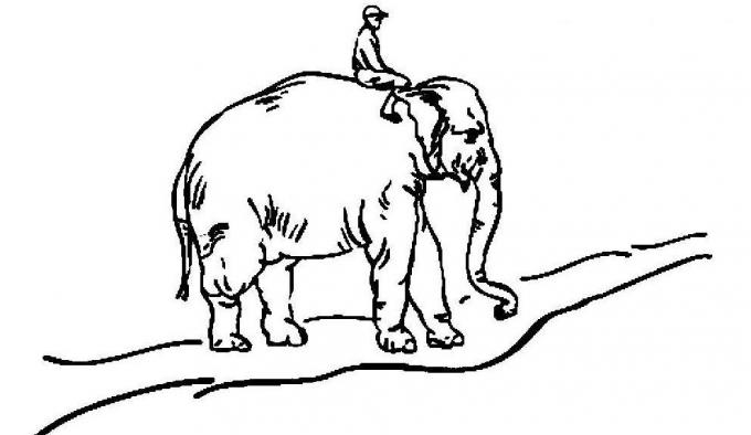 obiceiuri bune: elefant, călăreț și drumul