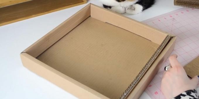 Post de zgâriere pisică DIY: introduceți benzi lipite în cutie