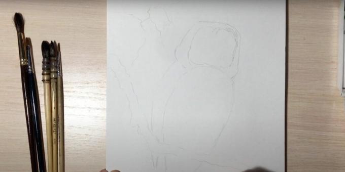 Cum să desenați o bufniță: conturați ramura și corpul unei bufnițe