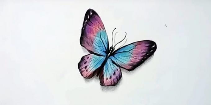 Cum de a desena un fluture creioane colorate realist