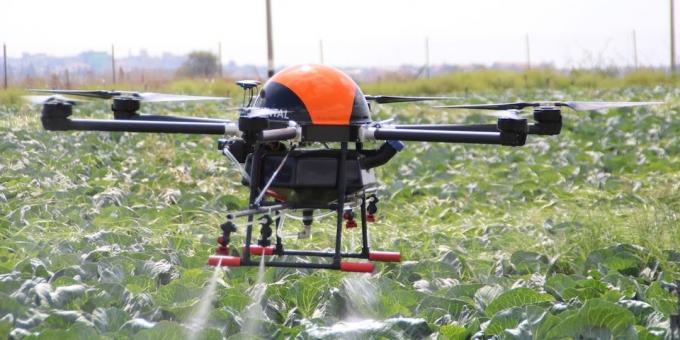 Drone ajuta plantele cresc