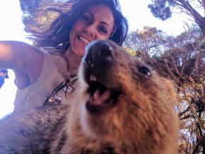 #Quokkaselfie: cum să facă cel mai atinge selfie din lume