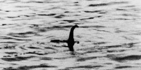 Oamenii de știință au vorbit despre ADN-ul monstrul din Loch Ness
