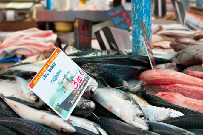 Beneficiile mai mari de pește decât efectele negative ale mercurului conținute în ea