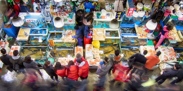 Atracții Coreea de Sud: este necesar pentru a vizita piața de pește