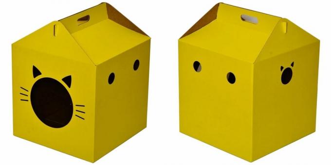 Case de pisici: sub forma unei cutii