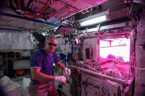 Salata în spațiu. Astronauții cresc plante pe ISS și de ce contează