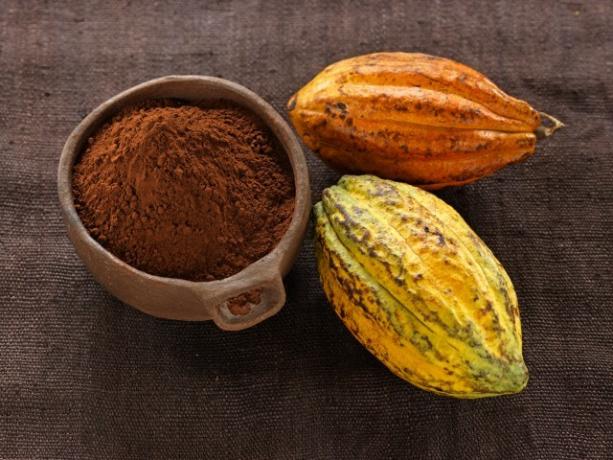 Ciocolata calda: pudră de cacao și boabe de cacao 