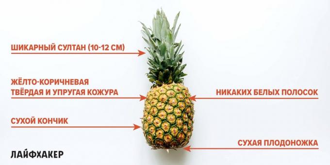 Cum de a alege un ananas: semne de ananas coapte