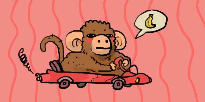 Maimuță conducând